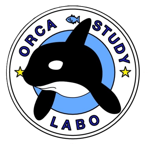 ORCASTUDY(オルカスタディ)