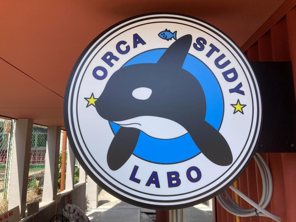 オルカスタディ丸看板の秘密