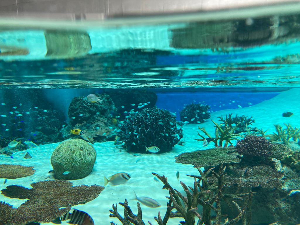 夏休みの教室運営について